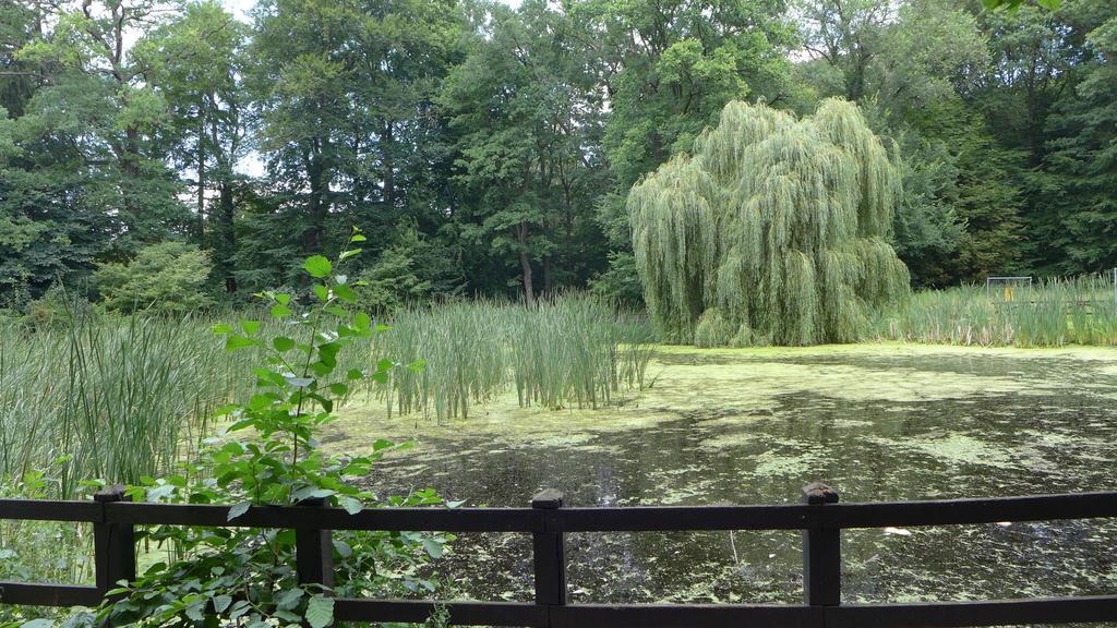 Ferienhaus Natura Нойруппін Номер фото