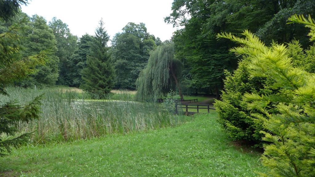 Ferienhaus Natura Нойруппін Номер фото