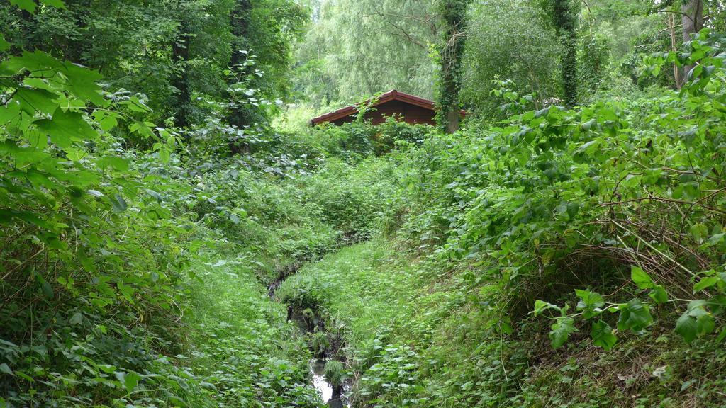 Ferienhaus Natura Нойруппін Номер фото